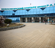 Фестиваль плова закроет декаду пожилых в Новосибирском зоопарке