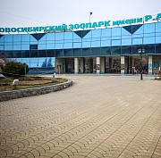 Фестиваль плова закроет декаду пожилых в Новосибирском зоопарке