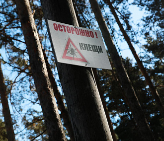 Территорию новосибирского зоопарка обработали от клещей