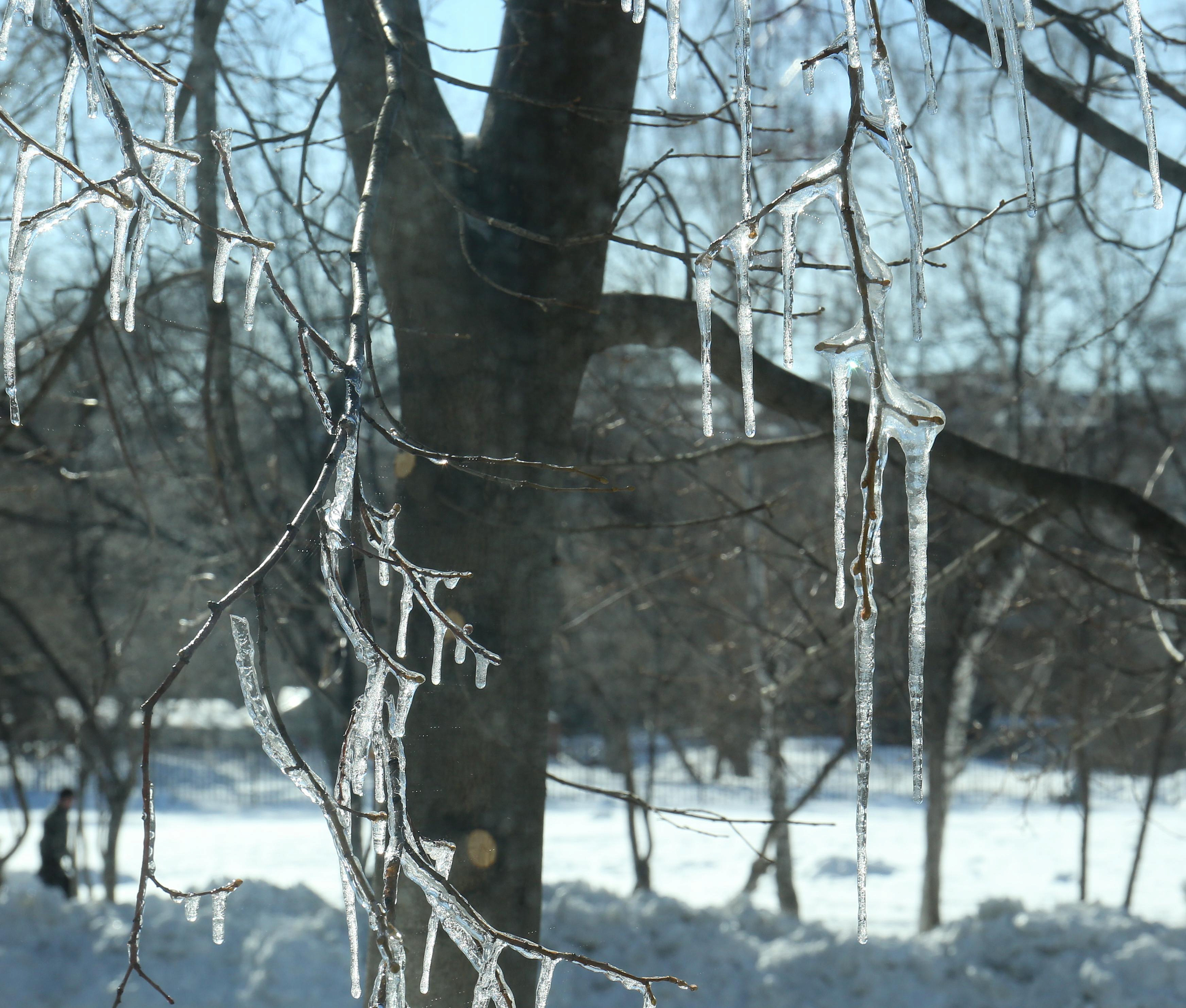Гололедица неизбежна: оттепель идёт в Новосибирскую область
