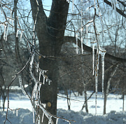 Гололедица неизбежна: оттепель идёт в Новосибирскую область
