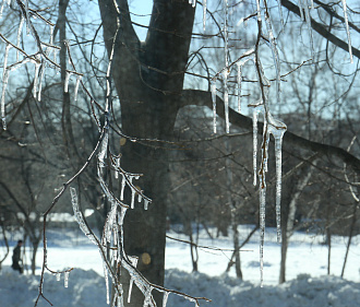 Гололедица неизбежна: оттепель идёт в Новосибирскую область