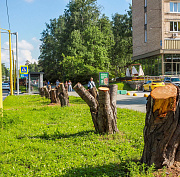 На аллее улицы Ильича убрали пни и начали замену грунта