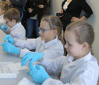 Новая книга научит школьников собирать ДНК из мармелада и зубочисток