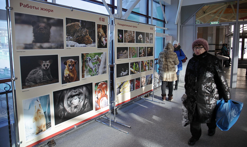 Выставку с портретами животных открыли на вокзале в Новосибирске