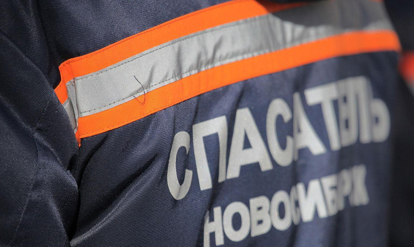 Спасатели пристроили в приют собаку внезапно умершего новосибирца