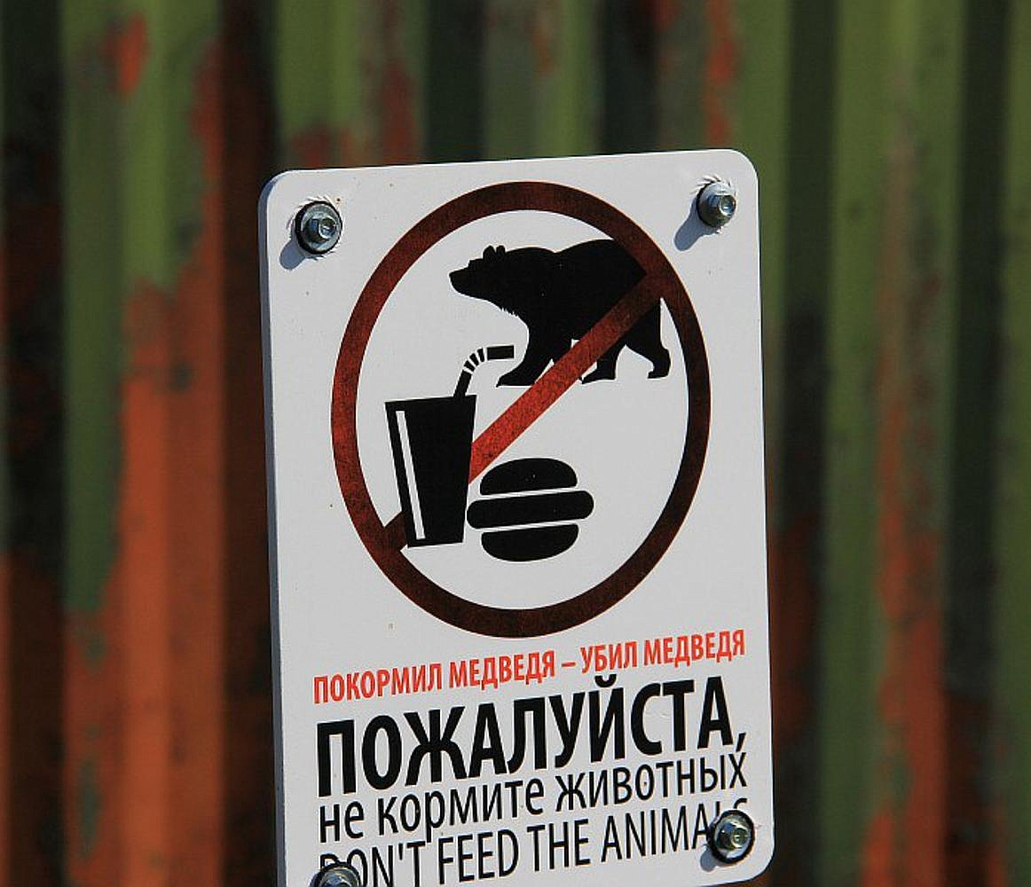 Запретили корма для животных