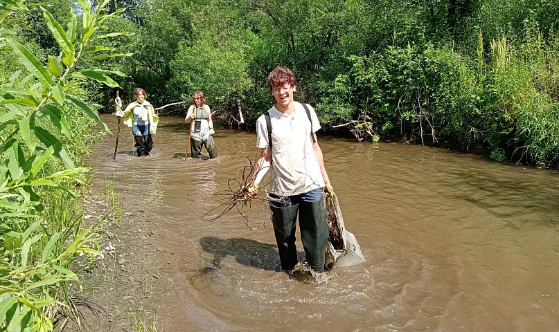 Эколагерь «Живая Издревая» подарит дачникам саженцы благородных елей