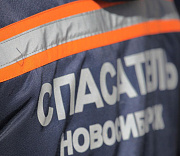 Спасатели пристроили в приют собаку внезапно умершего новосибирца