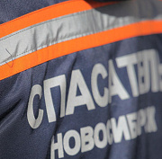 Спасатели пристроили в приют собаку внезапно умершего новосибирца