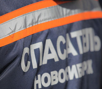 Спасатели пристроили в приют собаку внезапно умершего новосибирца