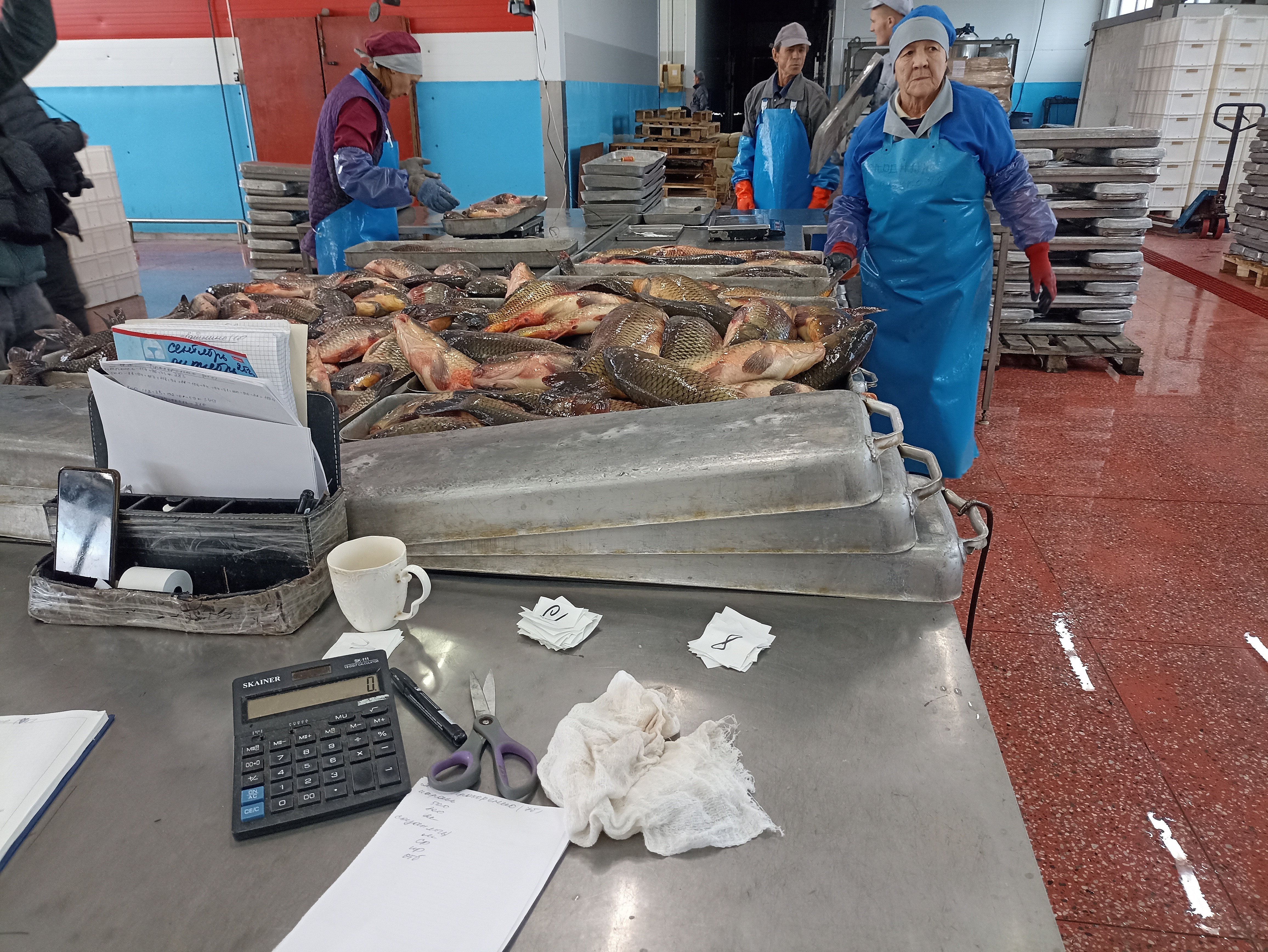 Новосибирская область нарастила экспорт рыбы в Китай и Казахстан