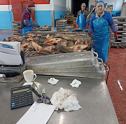 Новосибирская область нарастила экспорт рыбы в Китай и Казахстан