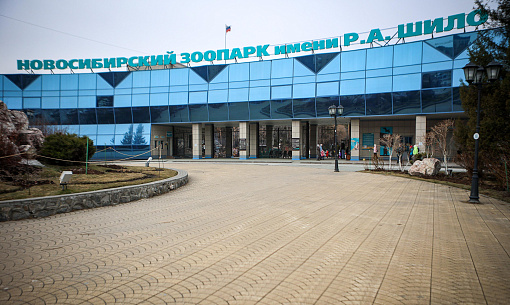 Губернатор предложил запустить шаттл до зоопарка