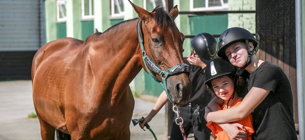 Иппотерапия в Новосибирске — как лошади лечат детей: фоторепортаж