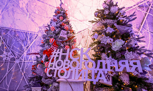 Новосибирская неделя: новогодняя столица, дорогая красота и бренд для мам