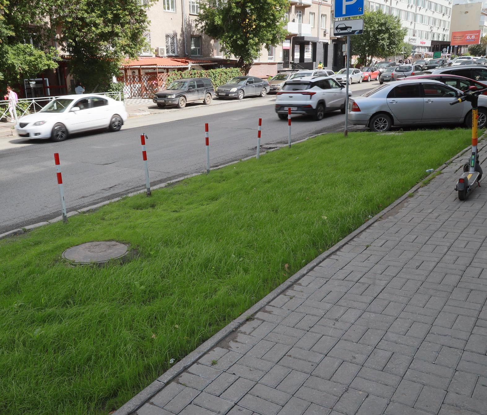 Как преображаются газоны на улицах Новосибирска: фото до и после