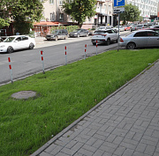 Как преображаются газоны на улицах Новосибирска: фото до и после