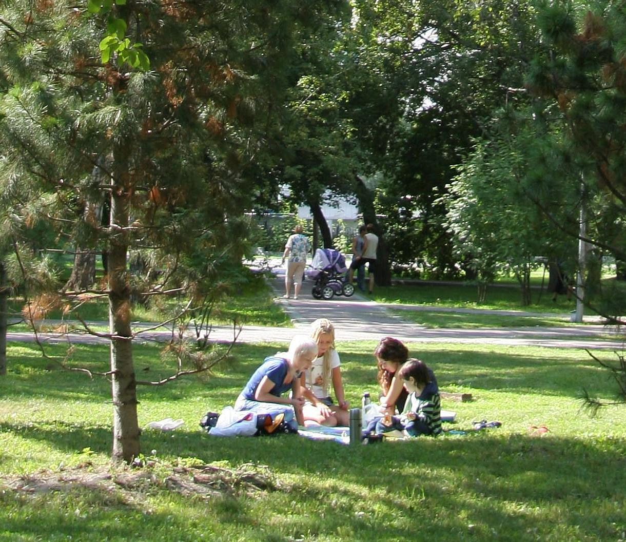 Тихий или спортивный: каким быть парку на Чемском, спрашивают у горожан