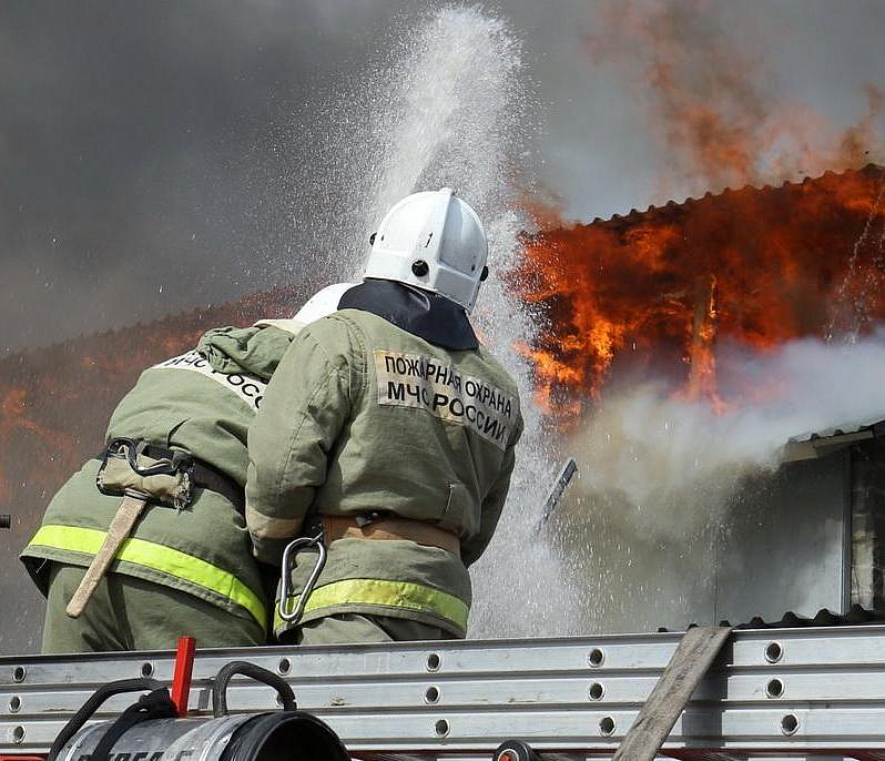 230 коров эвакуировали из пожара в Мурашах под Новосибирском