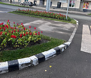 Сальвии, лилейник, катарантусы: 5000 цветов высадили в Первомайке