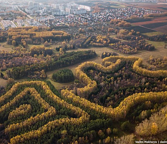 Дед Махорка сфотографировал с высоты загадочный лес под Новосибирском