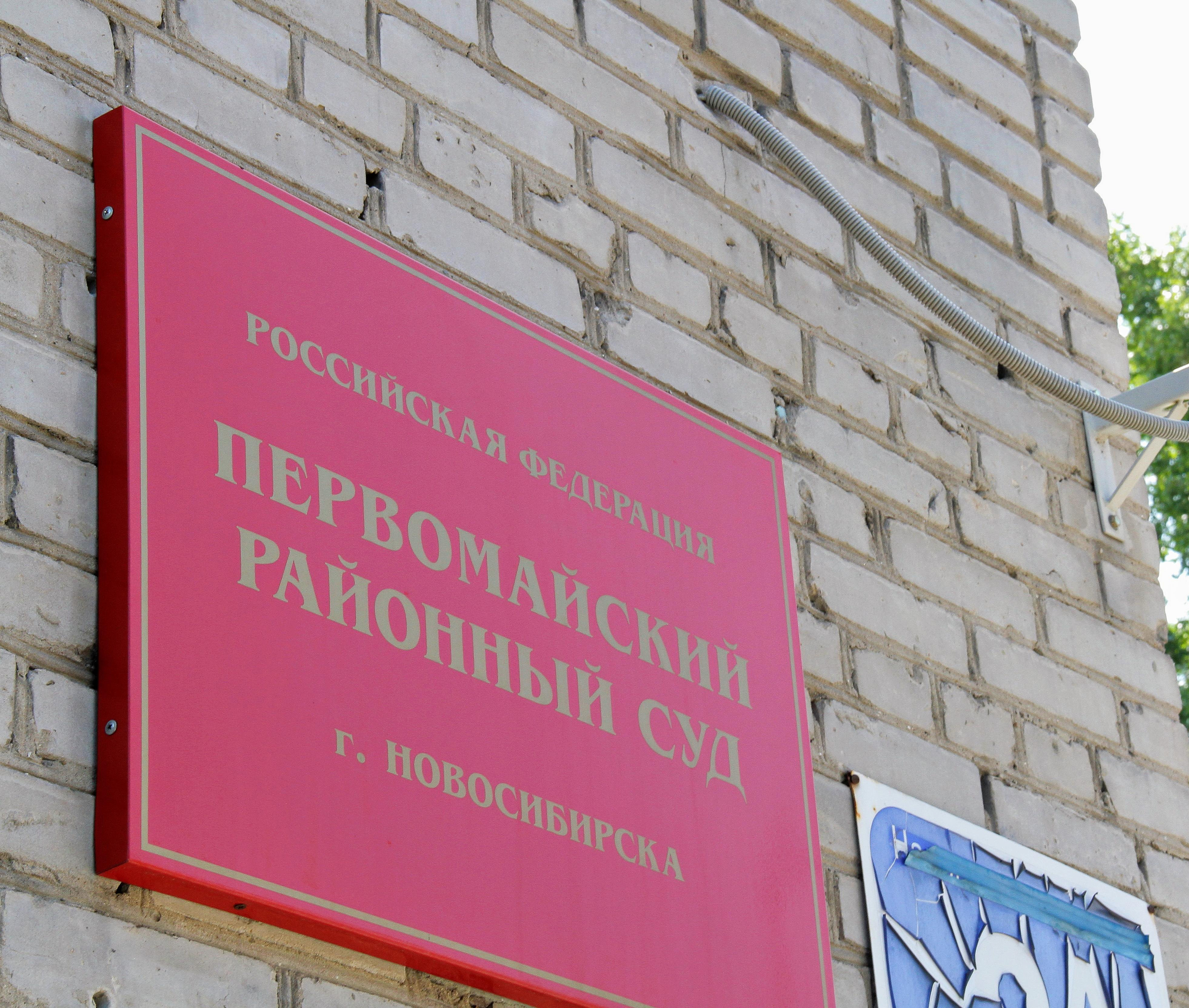 Сибирячка придумала себе детей в Москве и угодила в колонию