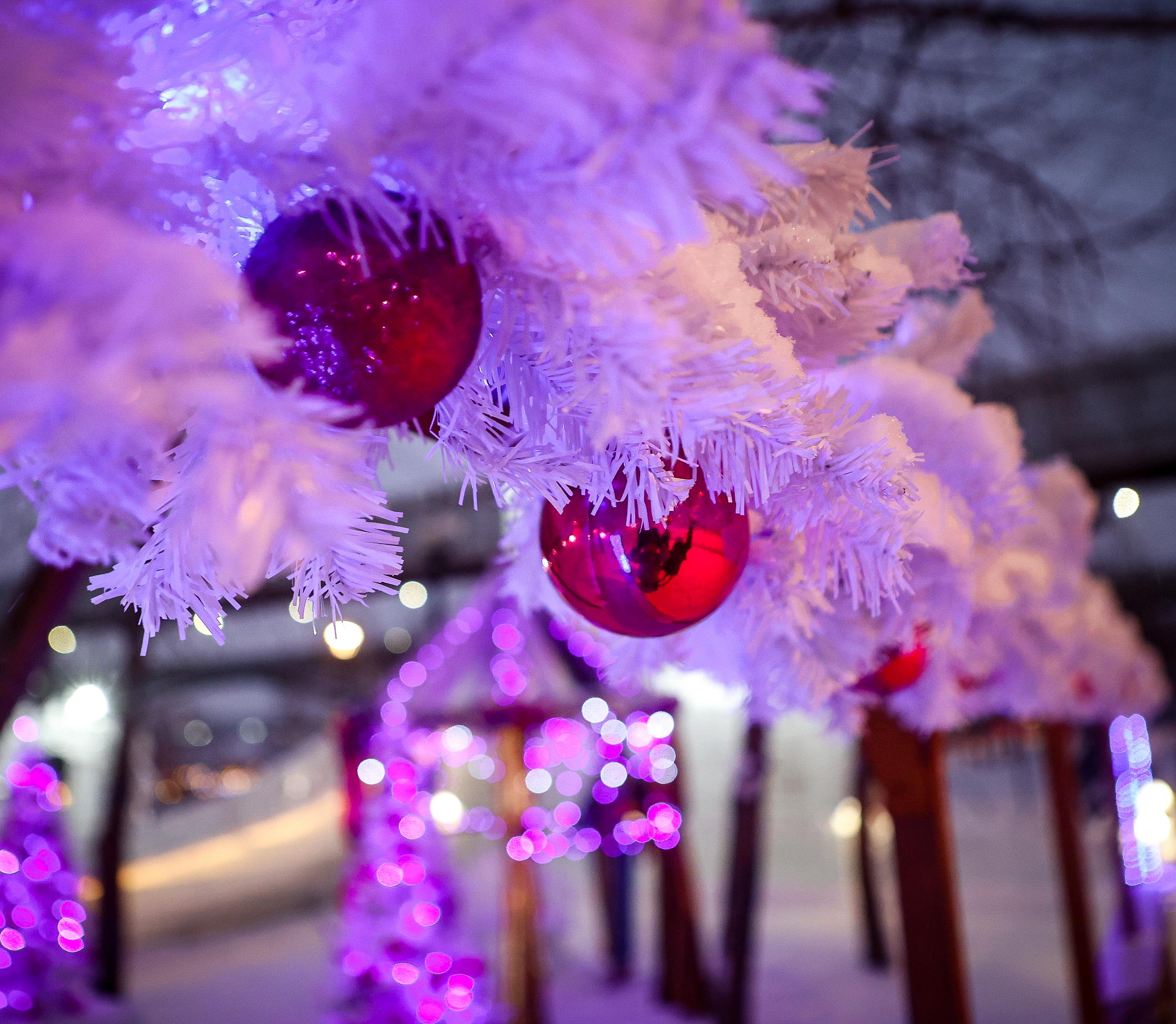 Стала известна цена билетов в ледовый городок на набережной Новосибирска