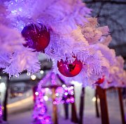 Стала известна цена билетов в ледовый городок на набережной Новосибирска