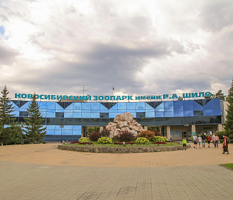 Канатную дорогу построят над вольерами «Африка» в зоопарке Новосибирска