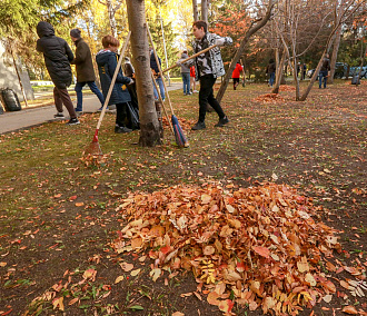 Только четверть новосибирцев участвует в субботниках