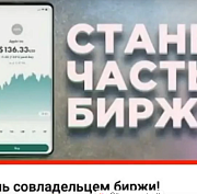 Финансовая пирамида обманула новосибирцев на 81 миллион рублей