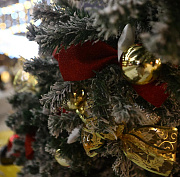 Губернаторская ёлка с «Коньком-Горбунком» пройдёт 25 и 26 декабря