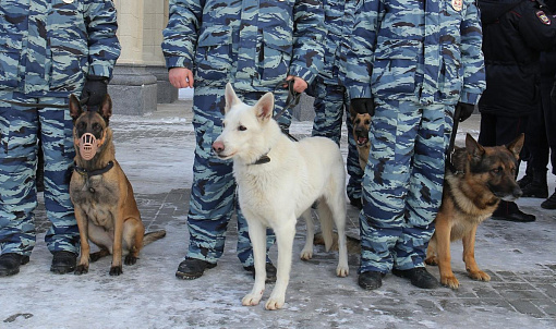 Из воинской части под Новосибирском сбежали десять человек