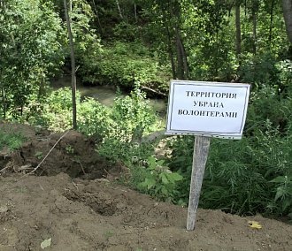 «Чистые игры»: мусорный квест снова устроят в Бугринской роще