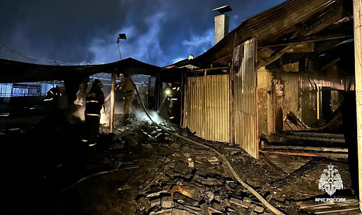 200 коров спасли из пожара в селе Толмачёво под Новосибирском