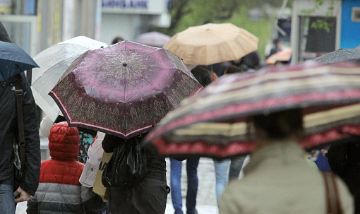 Как правильно сушить мокрый зонт — рассказали санврачи
