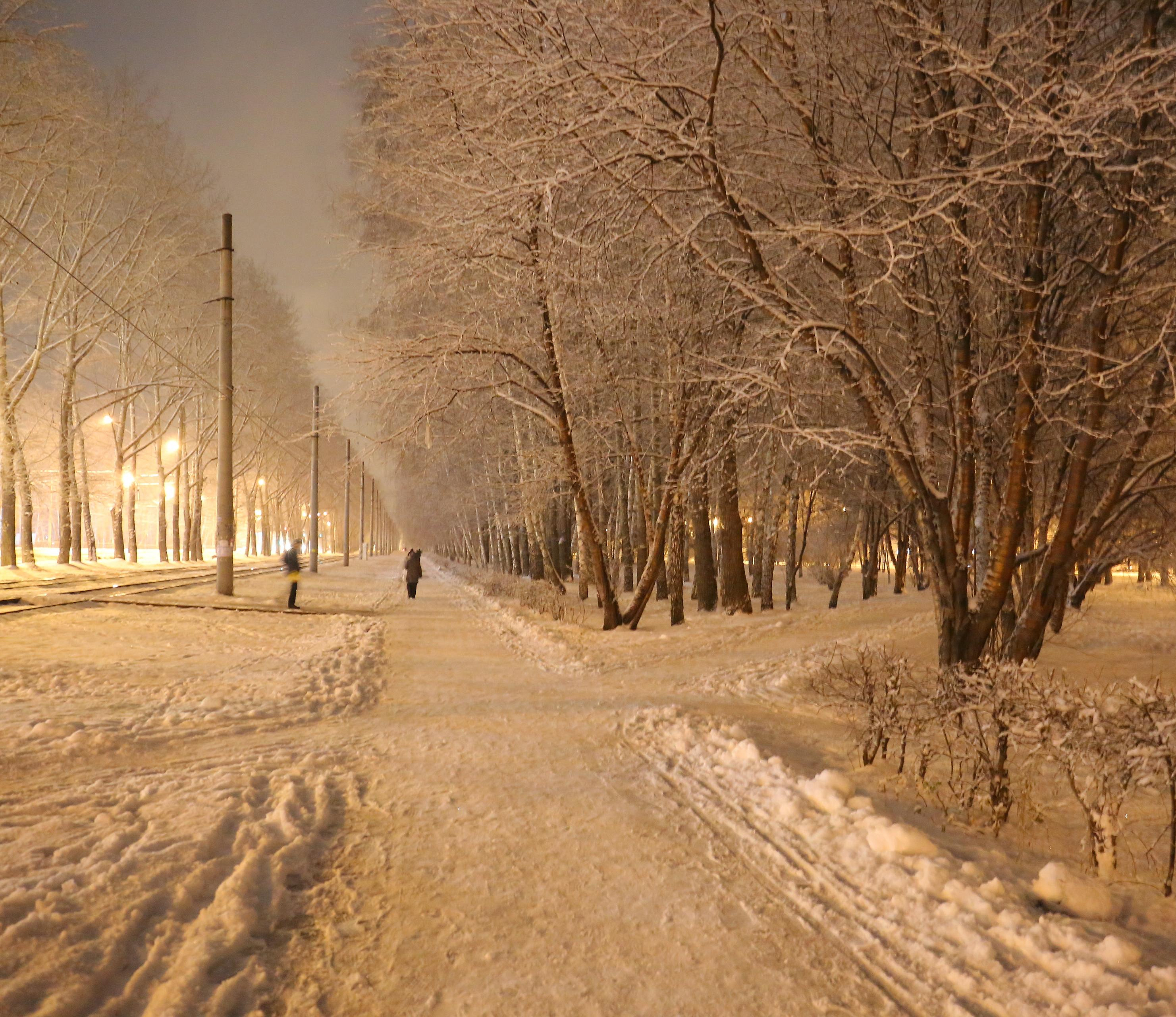 К Новосибирску приближается астрономическая зима