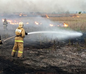 «Просыпайся, Москва, лес горит!»: знаменитости о пожарах в Сибири 