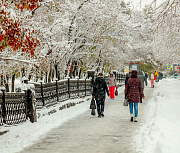 Экстренное предупреждение о непогоде объявили в Новосибирской области