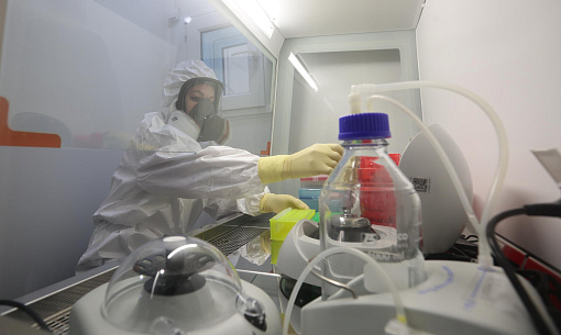 Роспотребнадзор изучает новый коронавирус из Бразилии — опасен ли он