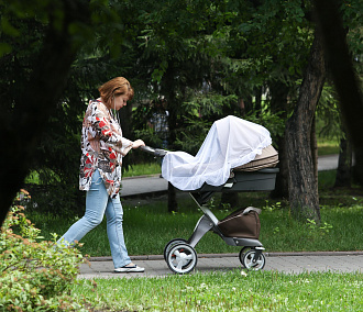 Зарплату от 1,1 млн рублей предлагают суррогатным матерям в Новосибирске 