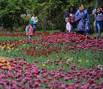 60 тысяч оттенков весны: Фестиваль тюльпанов прошёл на набережной