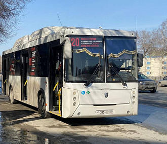 Комфортные автобусы на 105 человек пустили из Новосибирска в Кудряши