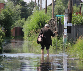 Заливные луга Новосибирска: краткая история наводнений в пойме Оби
