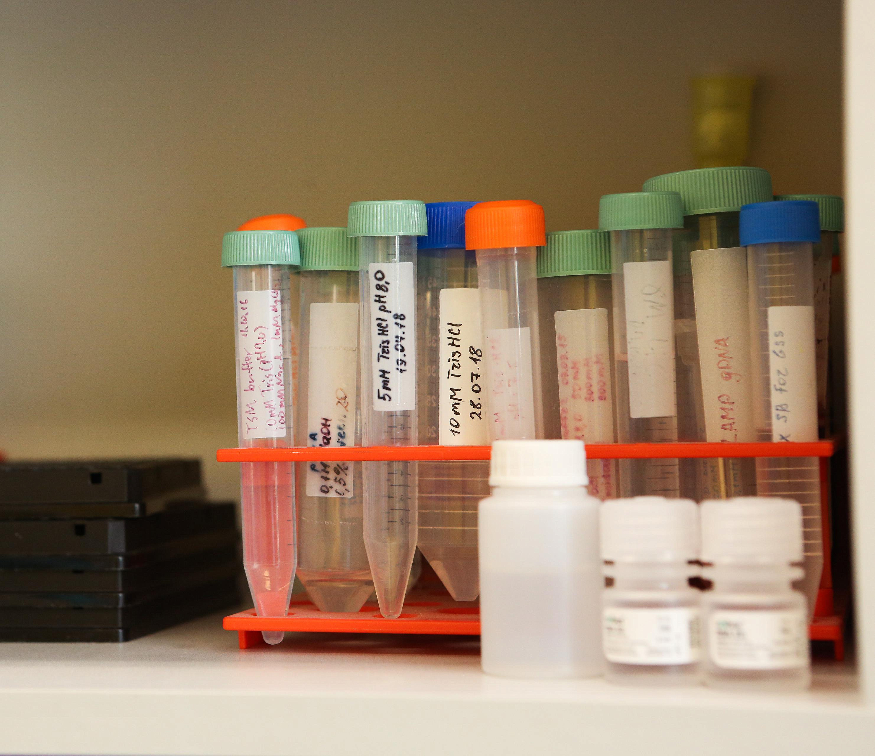 Уникальный препарат от сахарного диабета разрабатывают новосибирцы