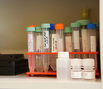 Уникальный препарат от сахарного диабета разрабатывают новосибирцы