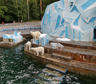 У вольера белого медведя в зоопарке раздадут подарки экоактивистам