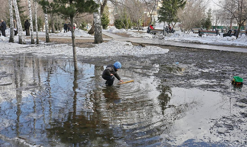 Весне дорогу: до +9 потеплеет в Новосибирске на следующей неделе