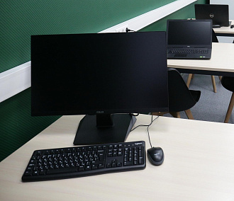 Компьютерный квест к древним петроглифам создают учёные в Новосибирске